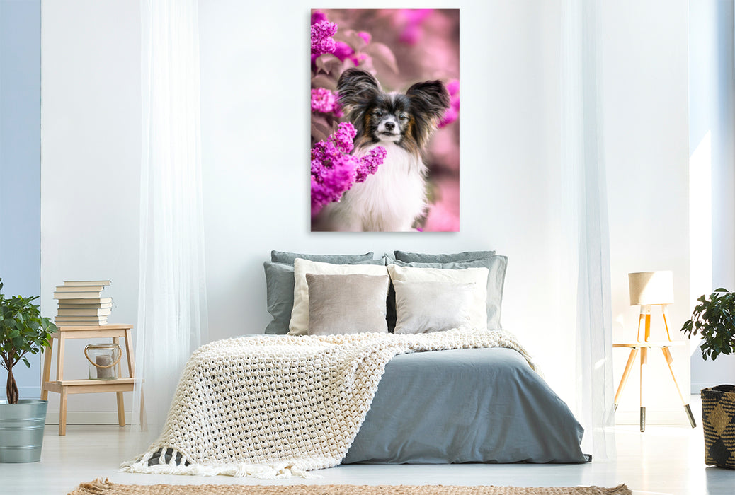 Premium textile canvas Premium textile canvas 80 cm x 120 cm high Leo, the Papillon 