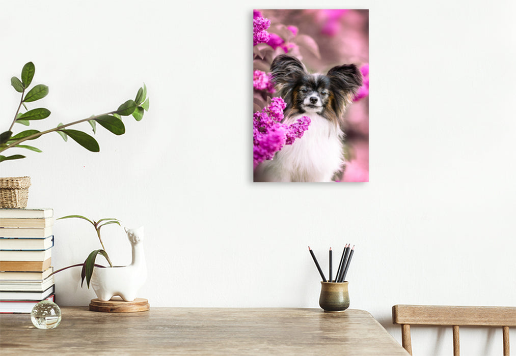 Premium textile canvas Premium textile canvas 80 cm x 120 cm high Leo, the Papillon 