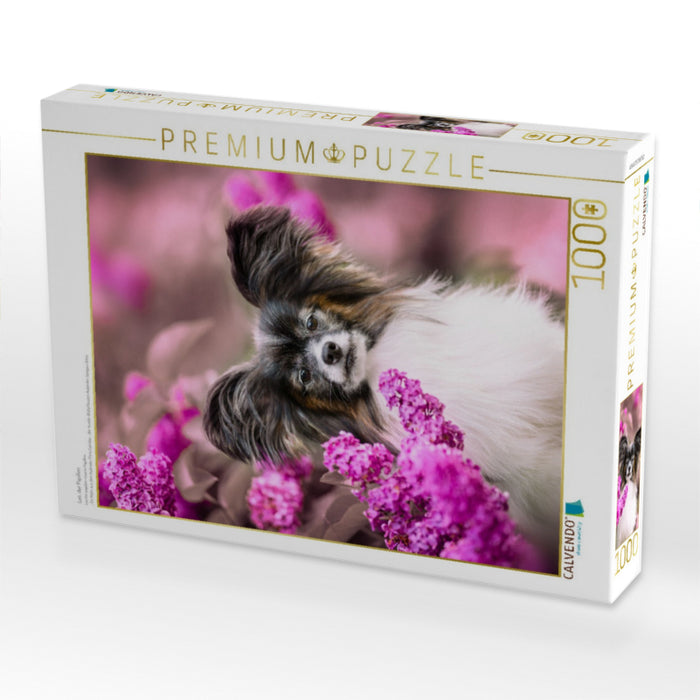 Leo, der Papillon - CALVENDO Foto-Puzzle'