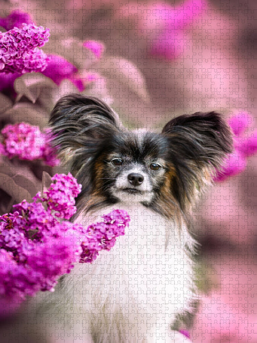 Leo, der Papillon - CALVENDO Foto-Puzzle'