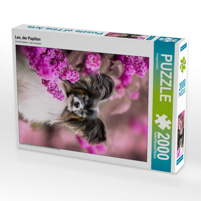 Leo the Papillon - CALVENDO photo puzzle 
