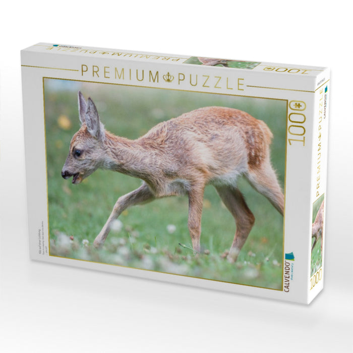 Kitz auf einer Lichtung - CALVENDO Foto-Puzzle'