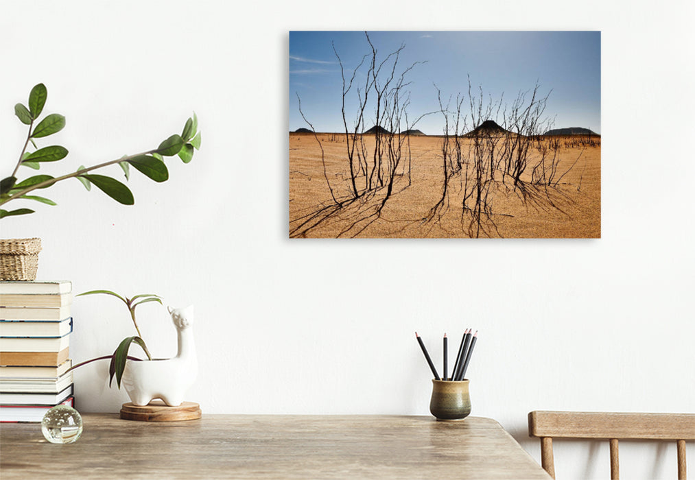 Premium textile canvas Premium textile canvas 120 cm x 80 cm landscape Dry bushes in the black desert near the Bahariya oasis 