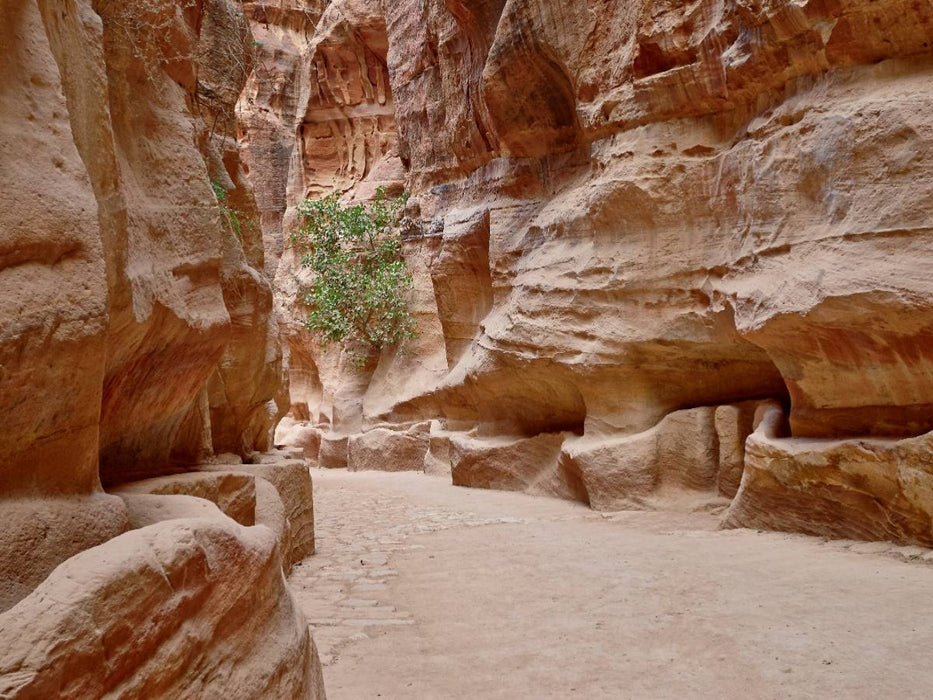 Canyon Al Siq - CALVENDO Foto-Puzzle'