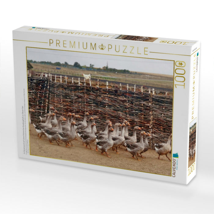 Im Gänsemarsch auf einem historischen Kosakengehöft am Oberen Don - CALVENDO Foto-Puzzle'