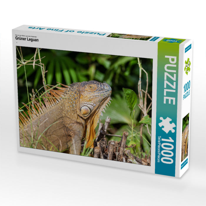 Grüner Leguan 1000 Teile Puzzle quer - CALVENDO Foto-Puzzle'