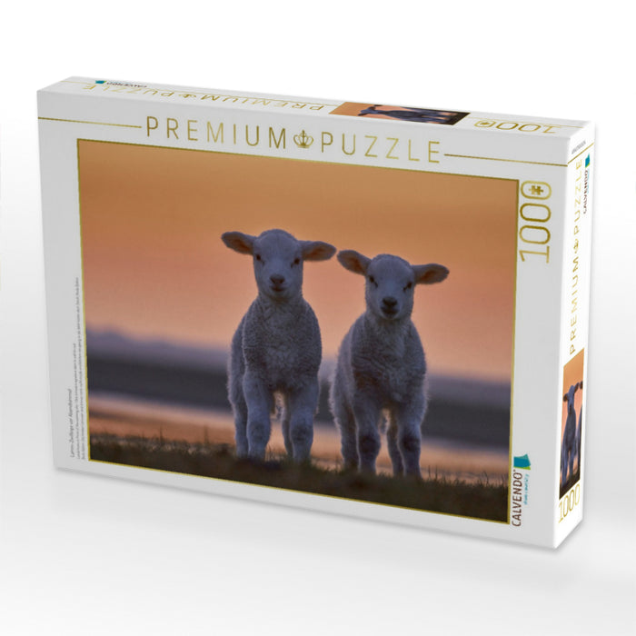 Lamm-Zwillinge vor Abendhimmel - CALVENDO Foto-Puzzle'
