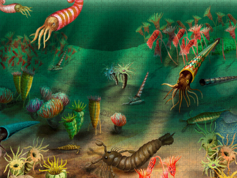 Erdzeitalter Silur, Leben im Meer - CALVENDO Foto-Puzzle'
