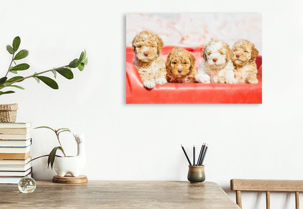 Premium textile canvas Premium textile canvas 120 cm x 80 cm landscape 7 week old puppies 