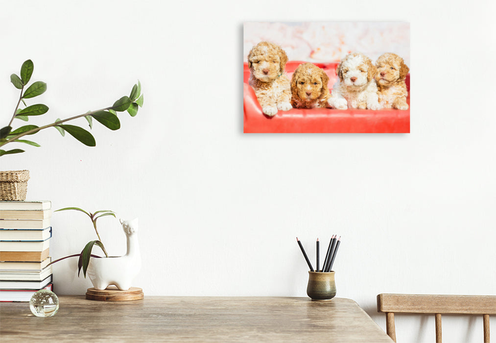 Premium textile canvas Premium textile canvas 120 cm x 80 cm landscape 7 week old puppies 