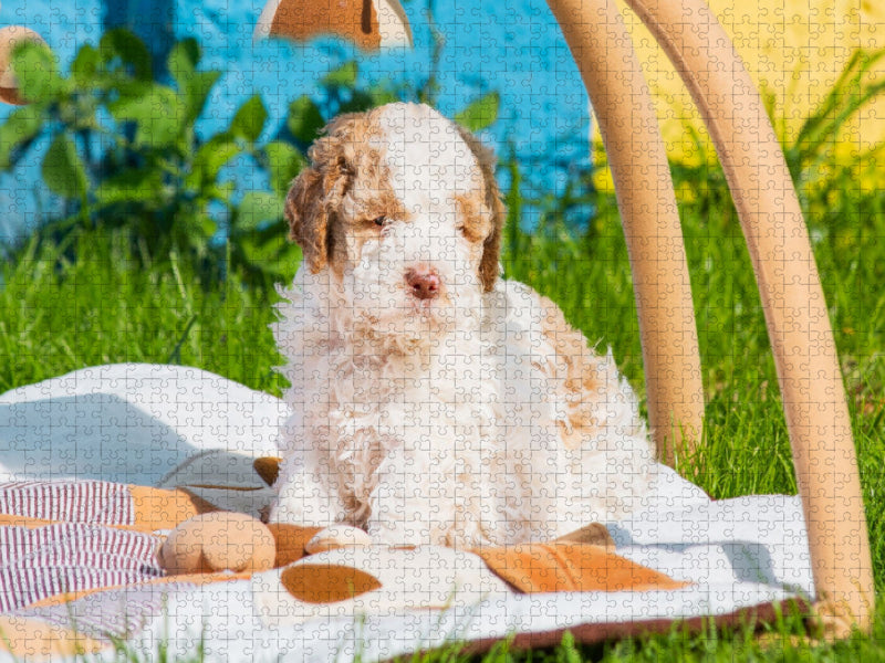 Bald wird er die Welt erkunden - CALVENDO Foto-Puzzle'