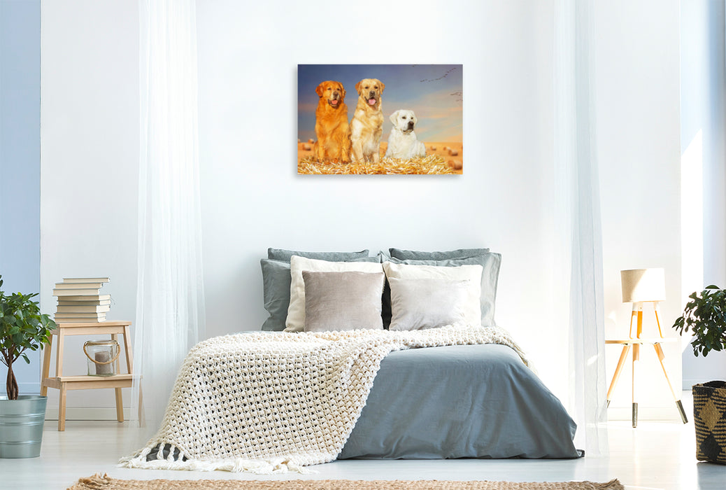 Premium textile canvas Premium textile canvas 120 cm x 80 cm landscape A motif from the calendar Golden Retriever - A friend on four paws 