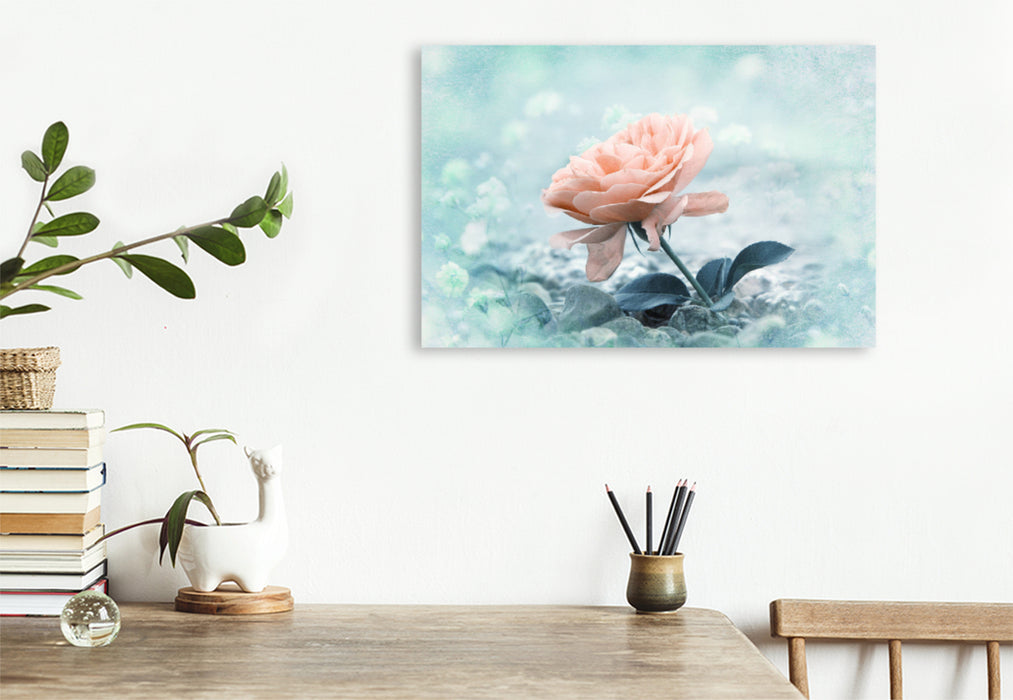 Premium textile canvas Premium textile canvas 120 cm x 80 cm landscape Rose on the beach 