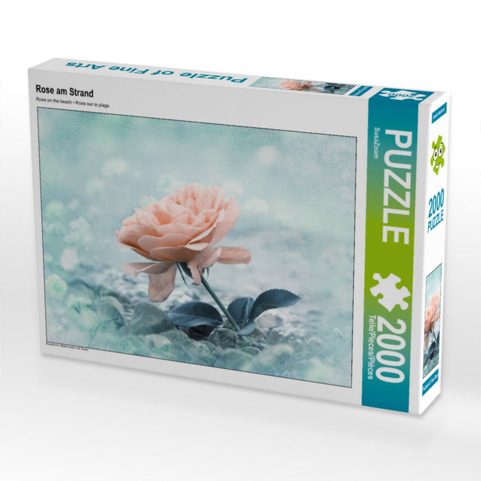 Rose am Strand 2000 Teile Puzzle quer - CALVENDO Foto-Puzzle'
