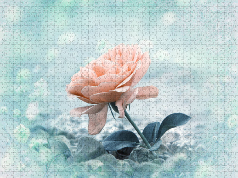 Rose am Strand 2000 Teile Puzzle quer - CALVENDO Foto-Puzzle'