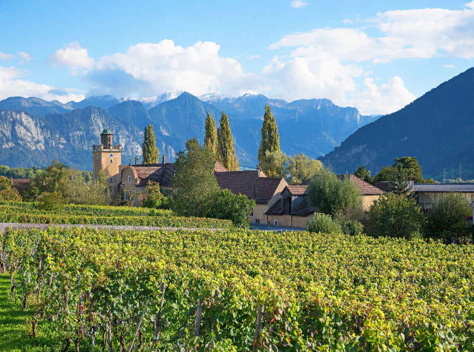Weingut Schloss Salenegg Maienfeld 2000 Teile Puzzle quer - CALVENDO Foto-Puzzle'