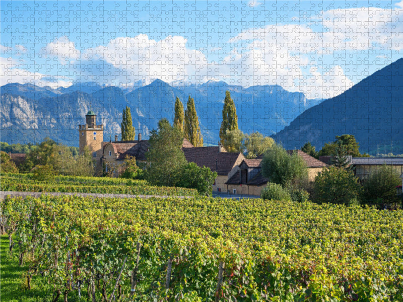 Weingut Schloss Salenegg Maienfeld 2000 Teile Puzzle quer - CALVENDO Foto-Puzzle'