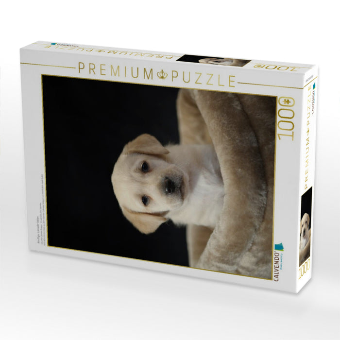 Knuffiger Labrador Welpe - CALVENDO Foto-Puzzle'