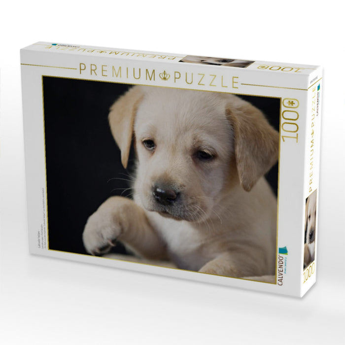 Labrador Welpe - CALVENDO Foto-Puzzle'
