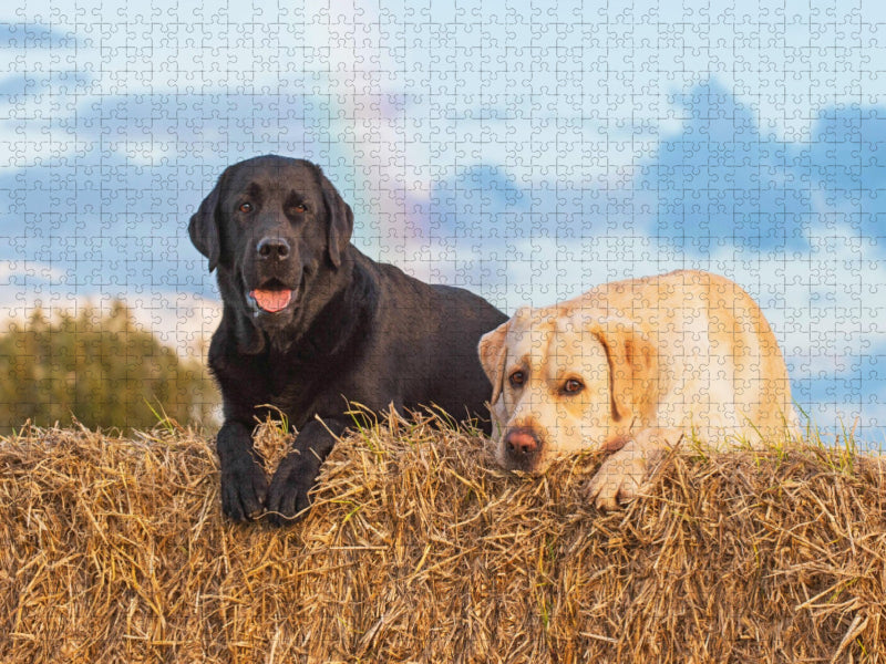 Nach dem Regen - CALVENDO Foto-Puzzle'