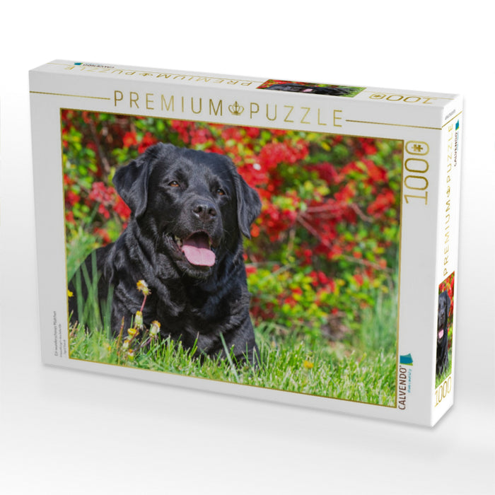 Ein wunderschönes Mädchen - CALVENDO Foto-Puzzle'