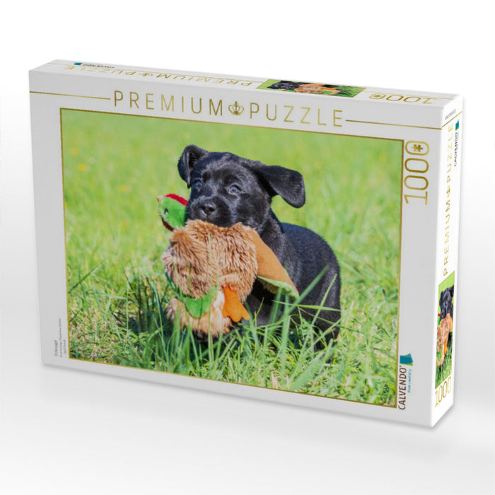 Entenjagd - CALVENDO Foto-Puzzle'