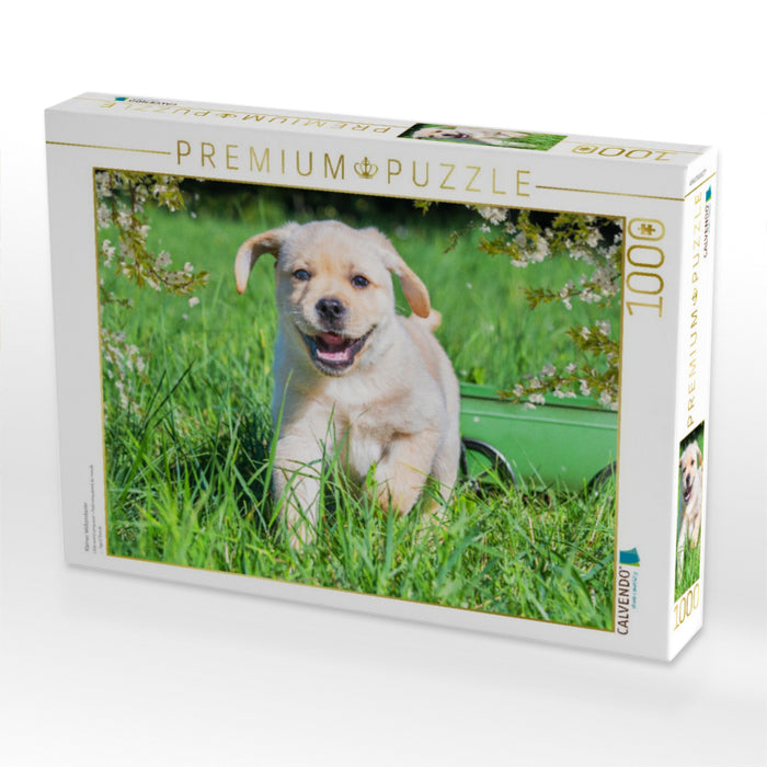 Kleiner Welteroberer - CALVENDO Foto-Puzzle'