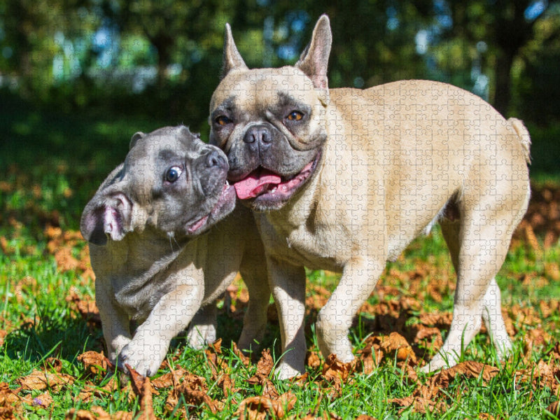 Spiel mit Mama - CALVENDO Foto-Puzzle'