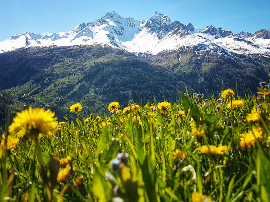 St . Moritz, Schweiz - CALVENDO Foto-Puzzle'
