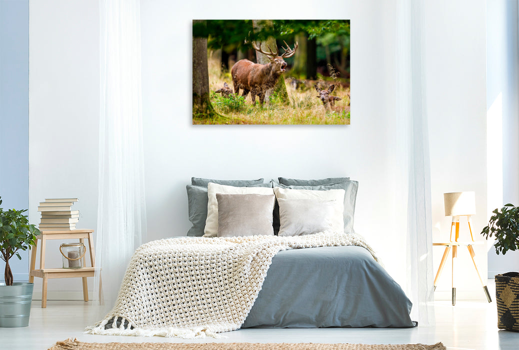 Premium textile canvas Premium textile canvas 120 cm x 80 cm landscape Red deer in rut 