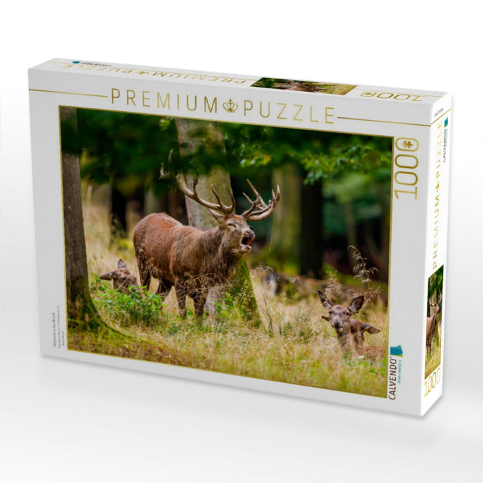 Rothirsch in der Brunft - CALVENDO Foto-Puzzle'