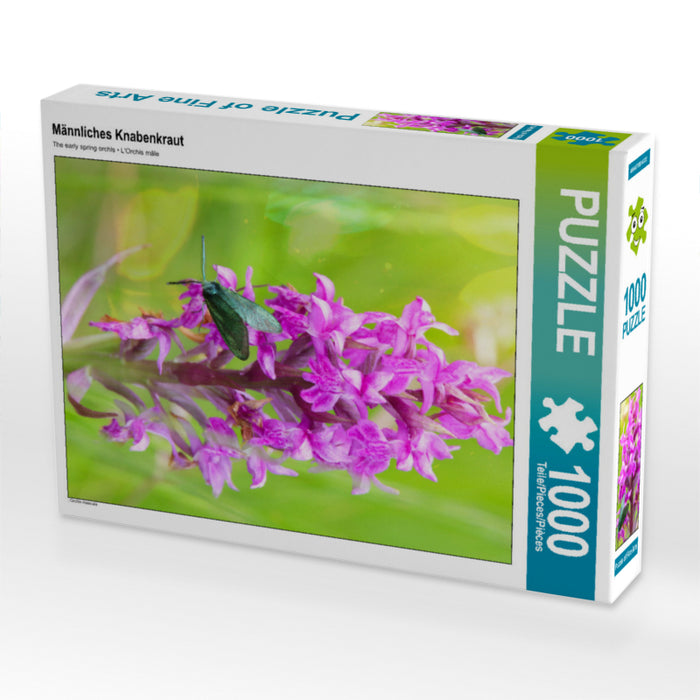 Male orchid - CALVENDO photo puzzle 