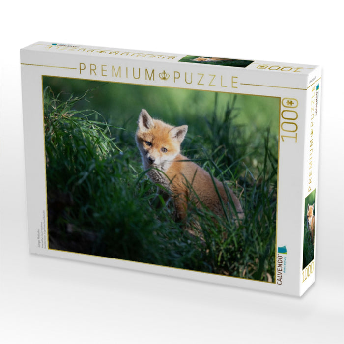 Junger Rotfuchs - CALVENDO Foto-Puzzle'