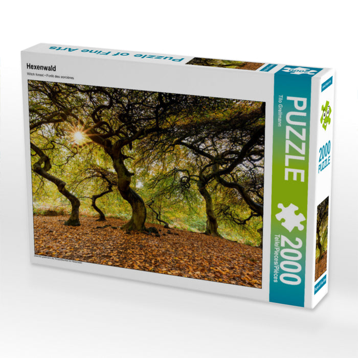 Hexenwald 2000 Teile Puzzle quer - CALVENDO Foto-Puzzle'