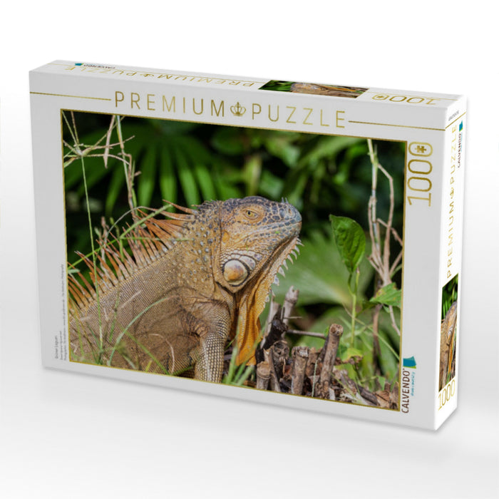 Grüner Leguan - CALVENDO Foto-Puzzle'