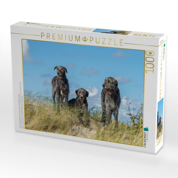 Drei Irische Wolfshunde auf einer Düne in Sankt Peter-Ording - CALVENDO Foto-Puzzle'