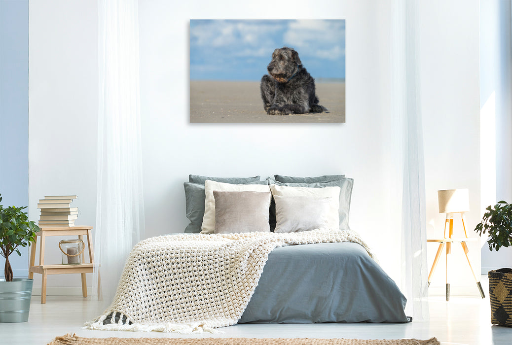 Premium Textil-Leinwand Premium Textil-Leinwand 120 cm x 80 cm quer Irischer Wolfshund liegt entspannt in der Sonne am Strand