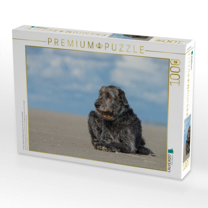 Irischer Wolfshund liegt entspannt in der Sonne am Strand - CALVENDO Foto-Puzzle'