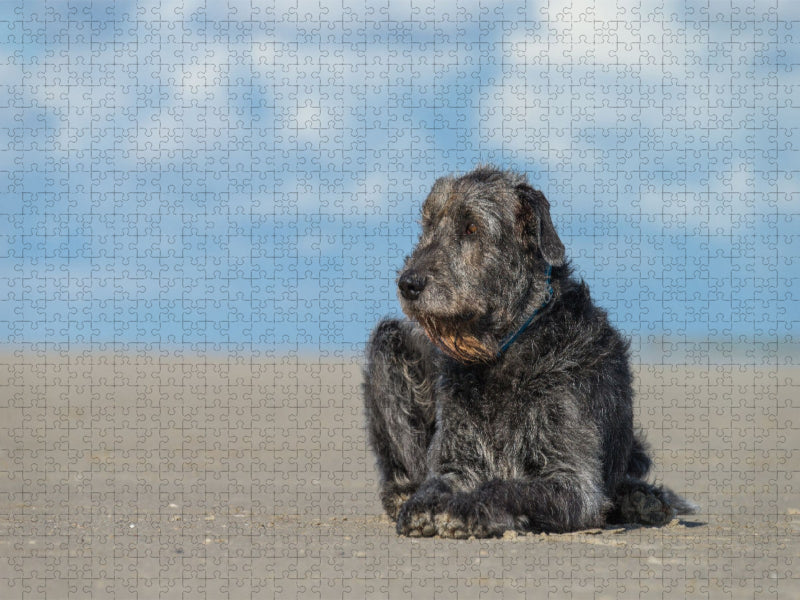 Irischer Wolfshund liegt entspannt in der Sonne am Strand - CALVENDO Foto-Puzzle'
