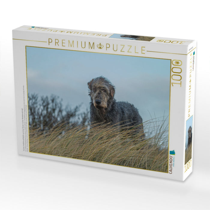 Irischer Wolfshund blickt von einer Düne in einer Heidelandschaft - CALVENDO Foto-Puzzle'
