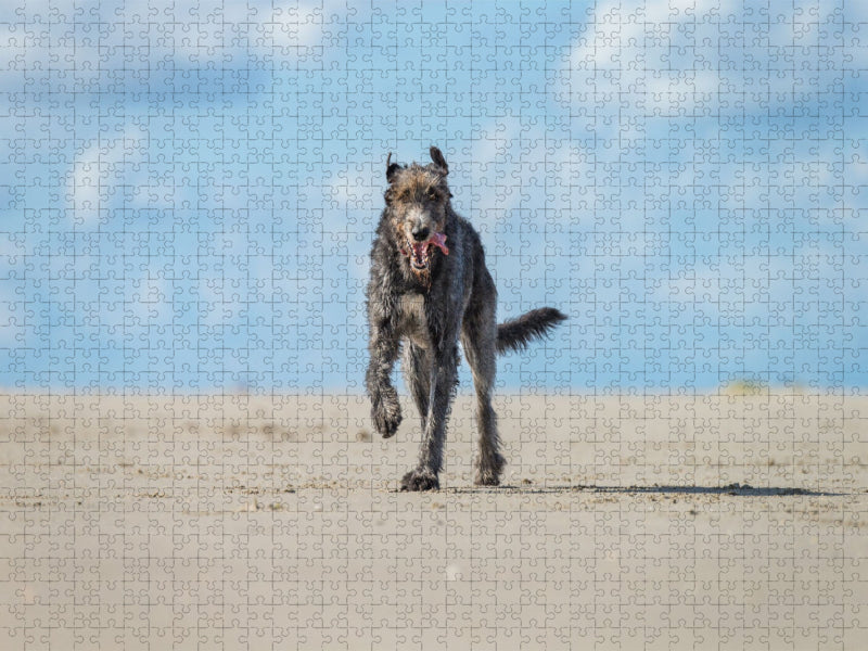 Irischer Wolfshund hat Spaß am Strand - CALVENDO Foto-Puzzle'