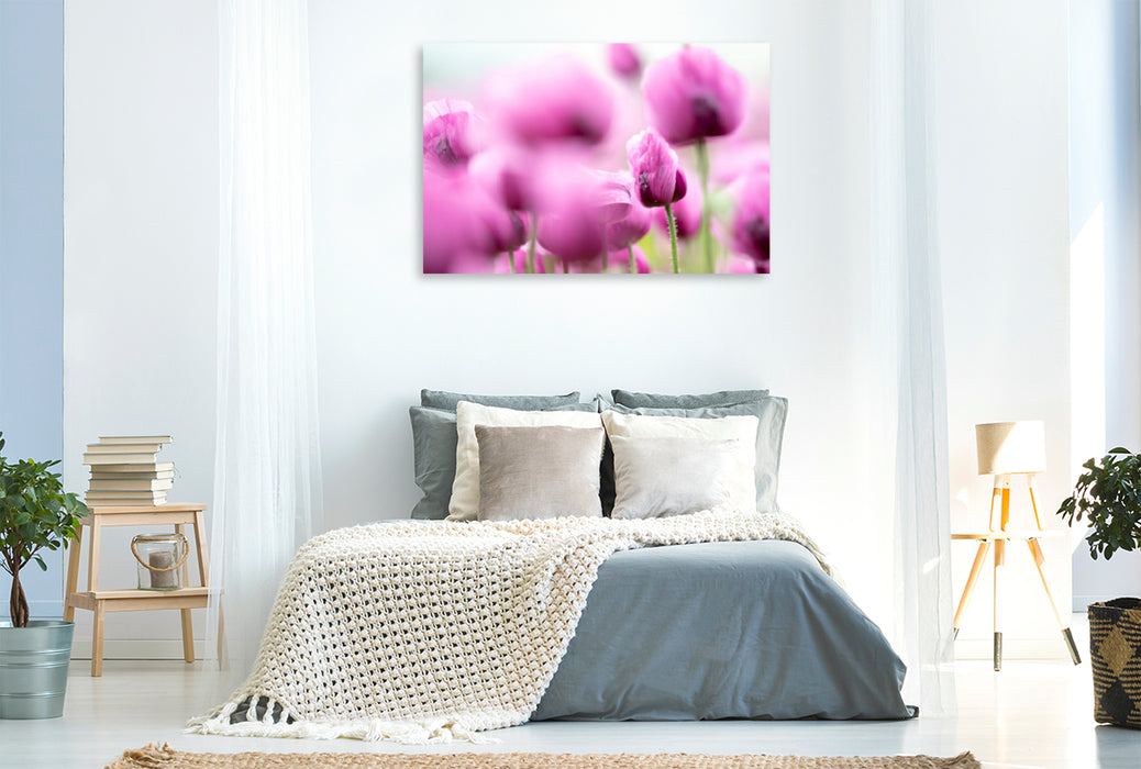Premium Textil-Leinwand Premium Textil-Leinwand 120 cm x 80 cm quer Blaumohn Blüte im Blütenmeer