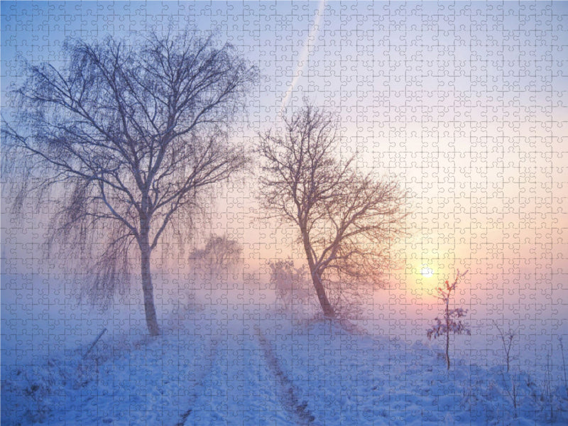 Winterlicher Sonnenuntergang im Nebel, Meyenfelder Straße 1000 Teile Puzzle quer - CALVENDO Foto-Puzzle'