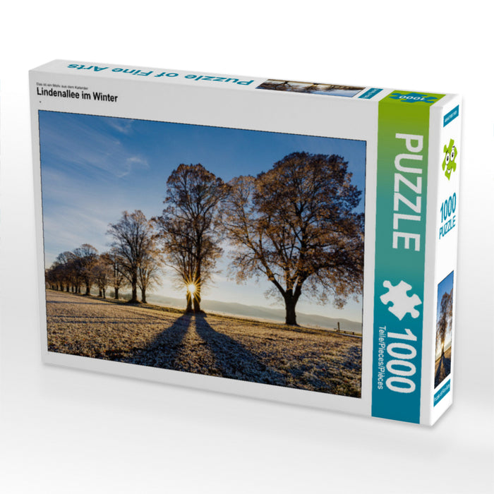 Avenue des Tilleuls en hiver - Puzzle photo CALVENDO 