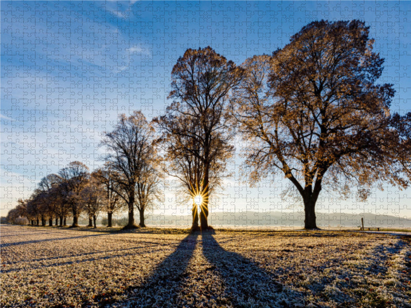 Avenue des Tilleuls en hiver - Puzzle photo CALVENDO 