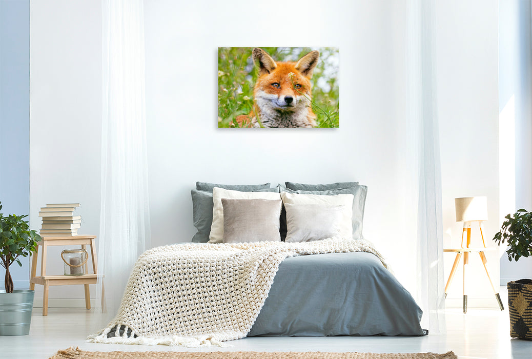 Premium Textil-Leinwand Premium Textil-Leinwand 120 cm x 80 cm quer Portrait eines wachsamen Fuchses