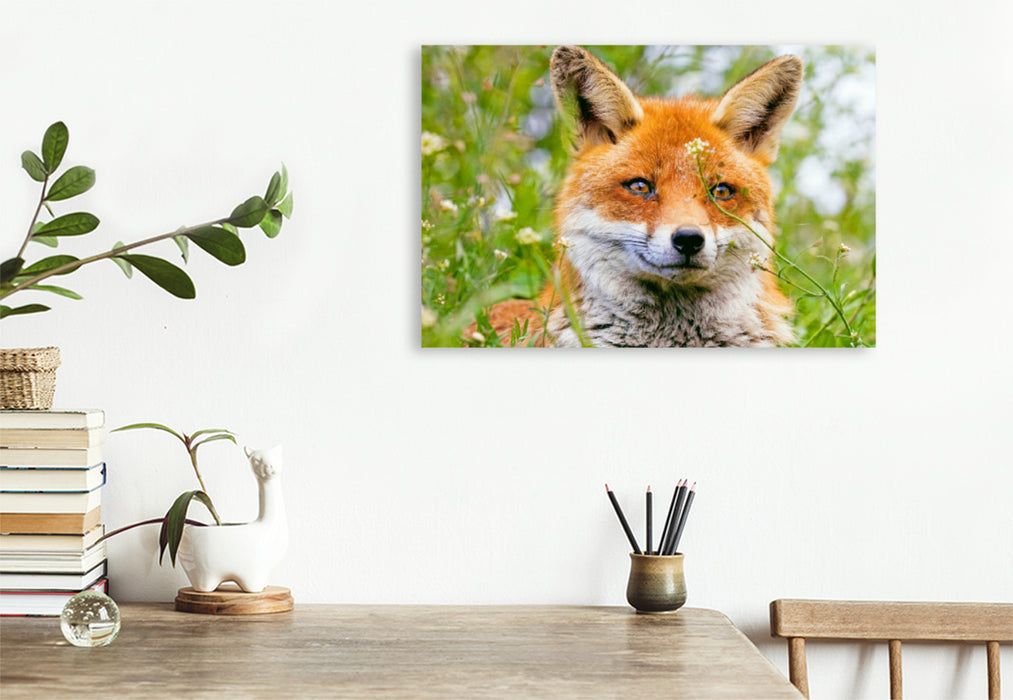 Premium Textil-Leinwand Premium Textil-Leinwand 120 cm x 80 cm quer Portrait eines wachsamen Fuchses