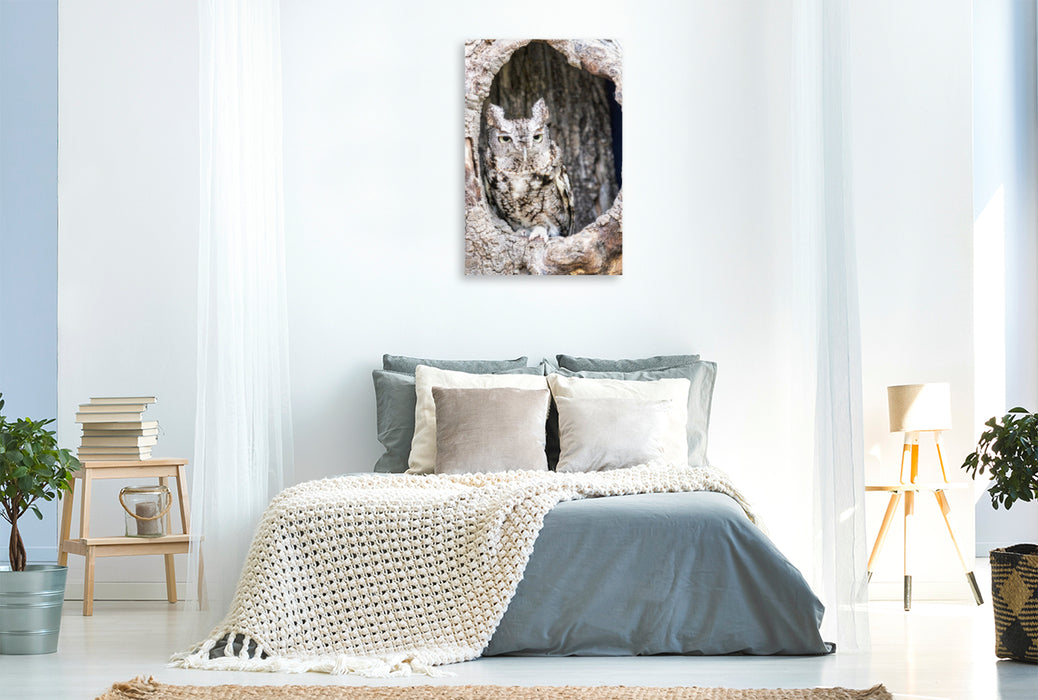 Premium Textil-Leinwand Premium Textil-Leinwand 80 cm x 120 cm  hoch Home, sweet home: Ost-Kreischeule in ihrer Baumhöhle