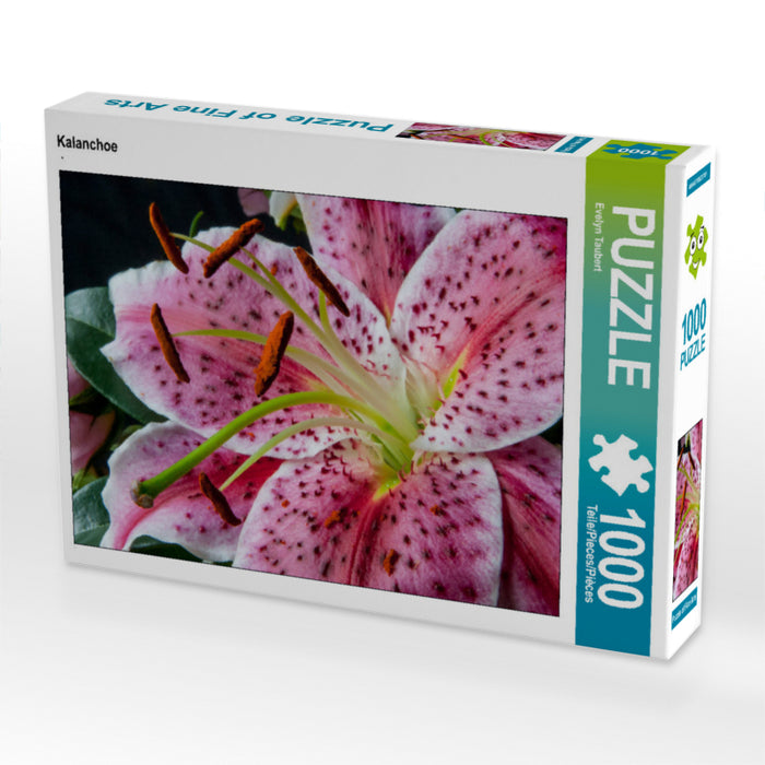 Kalanchoe 1000 Teile Puzzle quer - CALVENDO Foto-Puzzle'