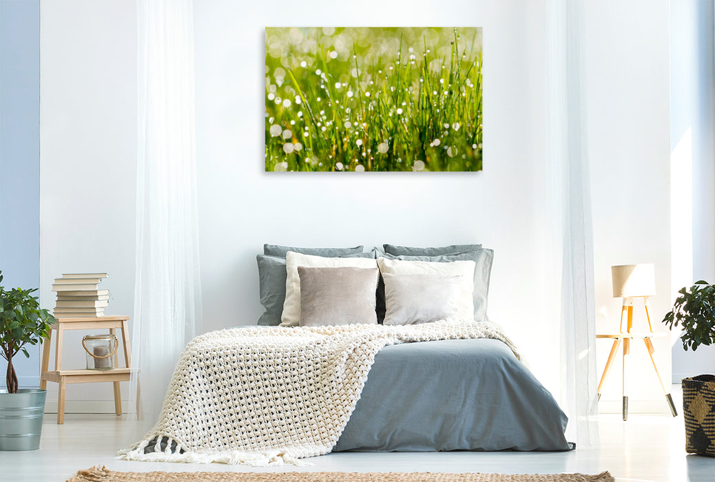 Premium textile canvas Premium textile canvas 120 cm x 80 cm landscape meadow with morning dew 